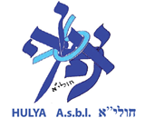 huliya logo
